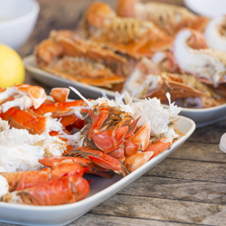 Cuisine australienne