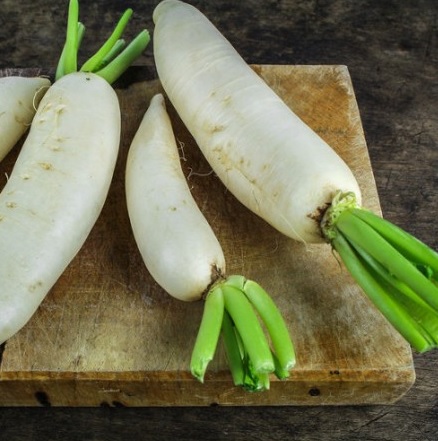 Le Daikon : les différents types